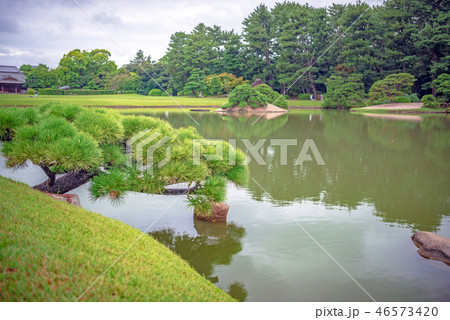 岡山後楽園 沢の池の風景 岡山後楽園 沢の池の風景 46573420
