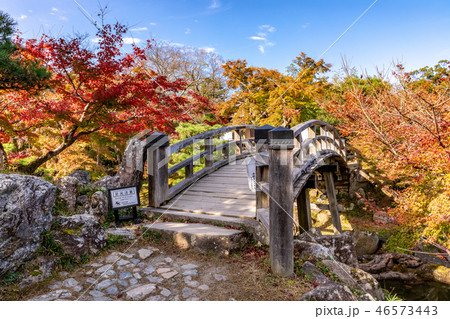 魚躍沼の高橋と紅葉 魚躍沼の高橋と紅葉 46573443