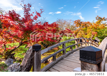 魚躍沼の高橋と紅葉 46573653