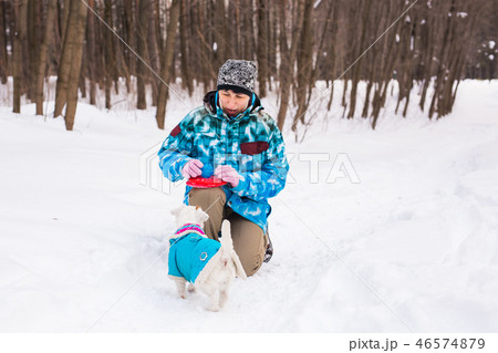 Pets owner and winter concept - Middle aged woman playing with her jack russell terrier dog in snowy Pets owner and winter concept - Middle aged woman playing with her jack russell terrier dog in snowy 46574879