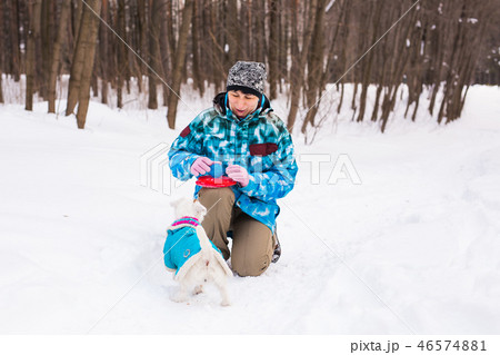 Jack Russell Terrier. Dog playing in winter park. Pet concept. Jack Russell Terrier. Dog playing in winter park. Pet concept. 46574881