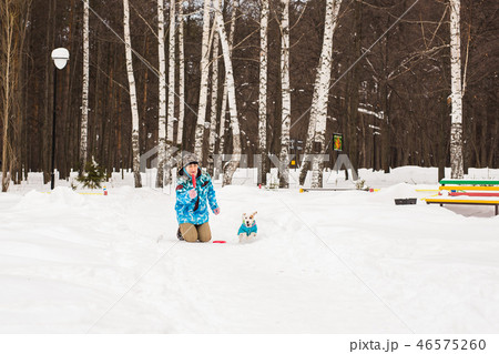 Pets owner and winter concept - Middle aged woman playing with her jack russell terrier dog in snowy 46575260