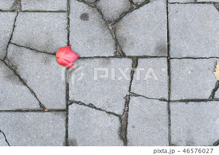 Photo 46576027