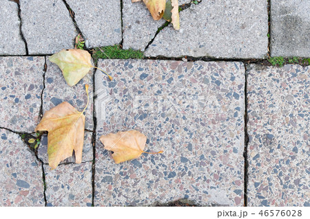 Photo 46576028