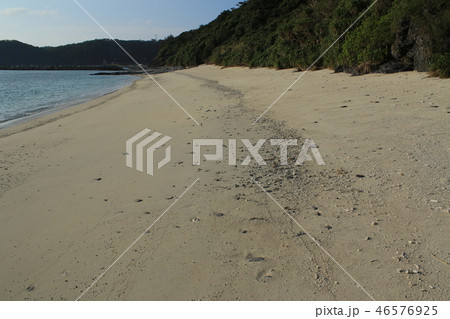 慶良間諸島　座間味島　ビーチ 46576925