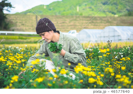 農業　男性 46577640