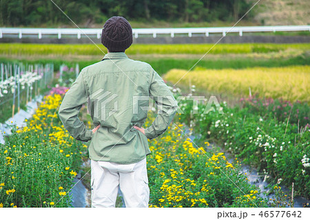 花卉栽培 農業 男性 花卉栽培 農業 男性 46577642