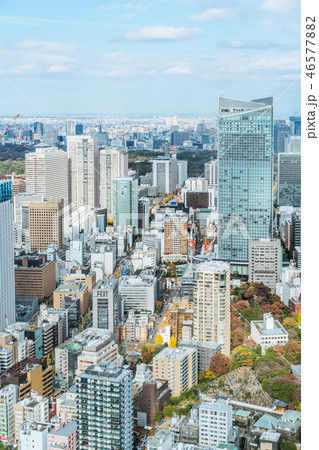 urban city skyline aerial view in Tokyo, Japan 46577882