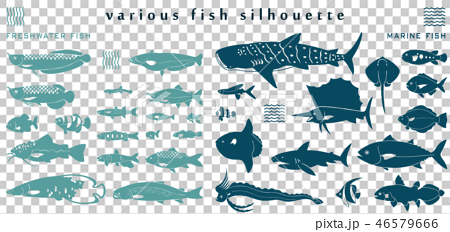 魚のシルエット素材集のイラスト素材