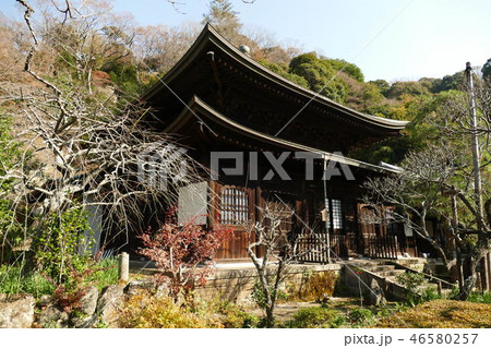 紅葉の鎌倉瑞泉寺 46580257