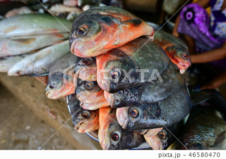 Mani Sithu Market in Nyaung-U 46580470