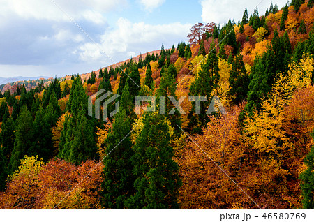 森吉山の秋 秋田県 森吉山の秋 秋田県 46580769
