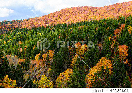 森吉山の秋 秋田県の写真素材