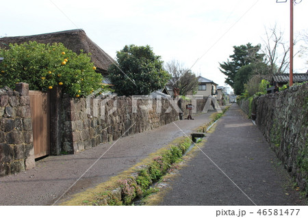 武家屋敷の水路　島原市　九州 46581477