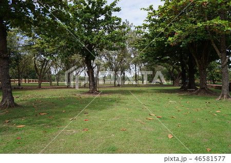Park in Ayutthaya Thailand  46581577