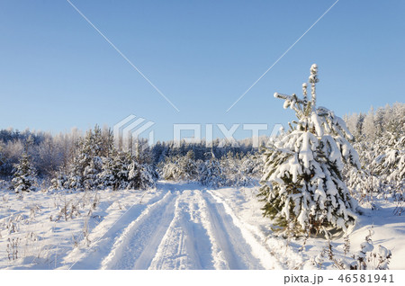 Snowy road in winter forest 46581941