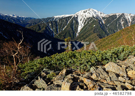 甲斐駒ヶ岳・駒津峰の登りから見る残雪の仙丈ケ岳 46582798