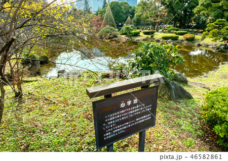 心字池 46582861