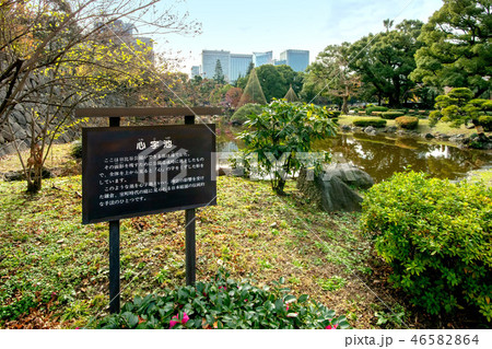 心字池 心字池 46582864