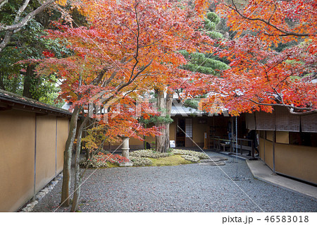 一条恵観山荘の紅葉 46583018