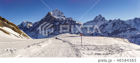 Wetterhorn 3692m mountain peak, seen from path between First and Faulhorn, Grindelwald, Switzerland Wetterhorn 3692m mountain peak, seen from path between First and Faulhorn, Grindelwald, Switzerland 46584365
