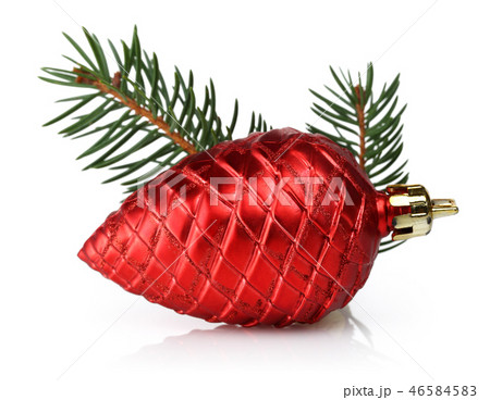 Red pine cone and spruce branches 46584583