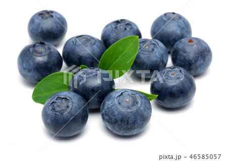 Fresh blueberries with leaves Fresh blueberries with leaves 46585057