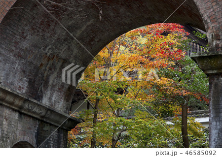 京都 南禅寺 紅葉 京都 南禅寺 紅葉 46585092