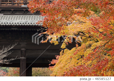 京都　南禅寺　紅葉 46585127