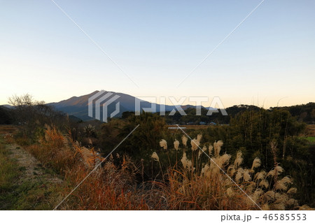 冬の夕暮れの紫尾山 冬の夕暮れの紫尾山 46585553