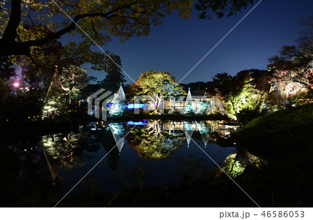 肥後細川庭園ライトアップ 46586053