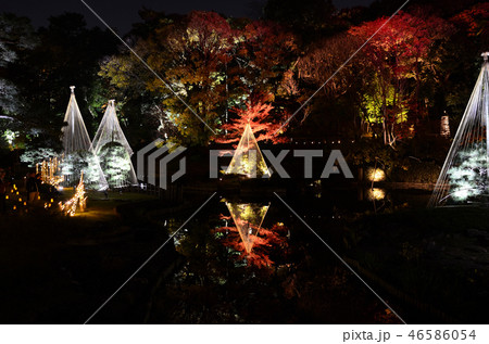 紅葉ライトアップ 46586054