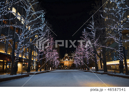 さっぽろホワイトイルミネーション（北３条広場） 46587541