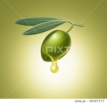 Green olive with leaves illustration Green olive with leaves illustration 46587577