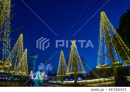 岐阜県　木曽三川公園の夕景　冬のイルミネーション 46588435
