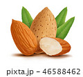 Almonds with leaves isolated on white background 46588462