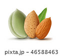 Almonds with leaf isolated on white background 46588463