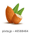 Almonds with leaves isolated on white background 46588464