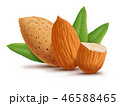 Almonds with leaves isolated on white background 46588465