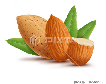 Almonds with leaves isolated on white background Almonds with leaves isolated on white background 46588465