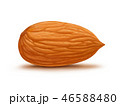 Almond isolated on white background 46588480