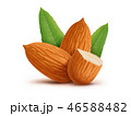 Almonds with leaves isolated on white background 46588482