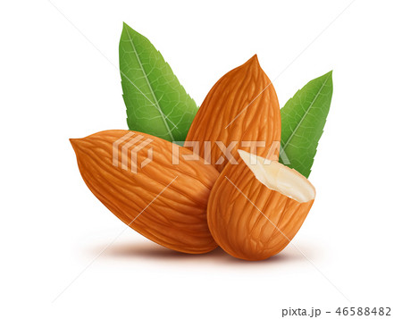 Almonds with leaves isolated on white background 46588482