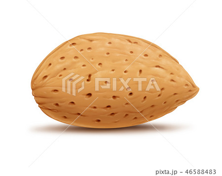 Almond isolated on white background 46588483