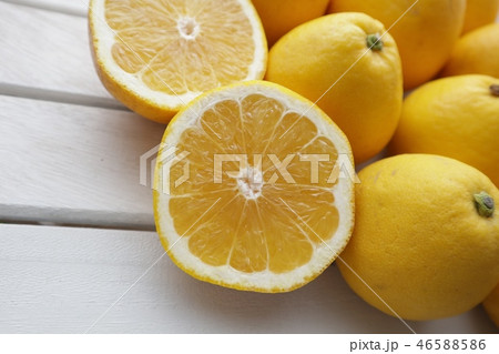 河内晩柑 46588586