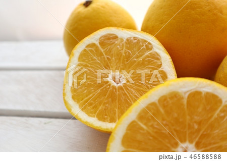 河内晩柑 河内晩柑 46588588