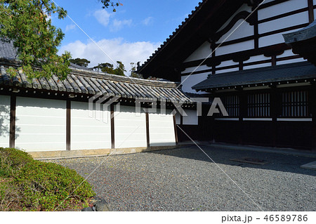 京都　東福寺 46589786