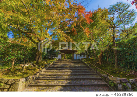 京都　初秋の安楽寺 46589860