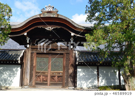 京都 東福寺 京都 東福寺 46589919