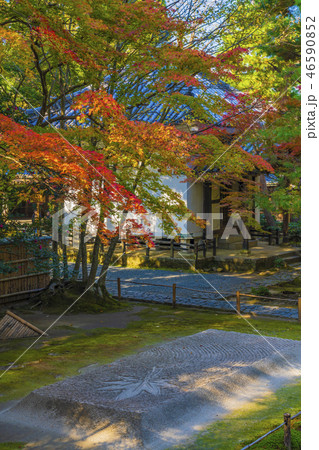 京都　初秋の法然院　白砂壇 46590852